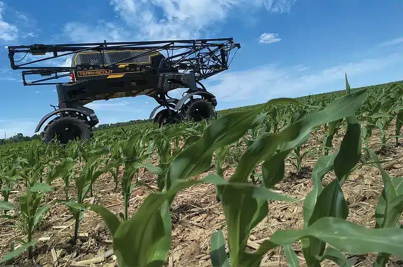 TerraScout in corn field